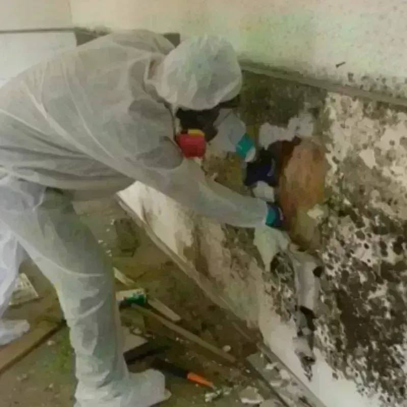 Mold Remediation and Removal in Millville, NJ