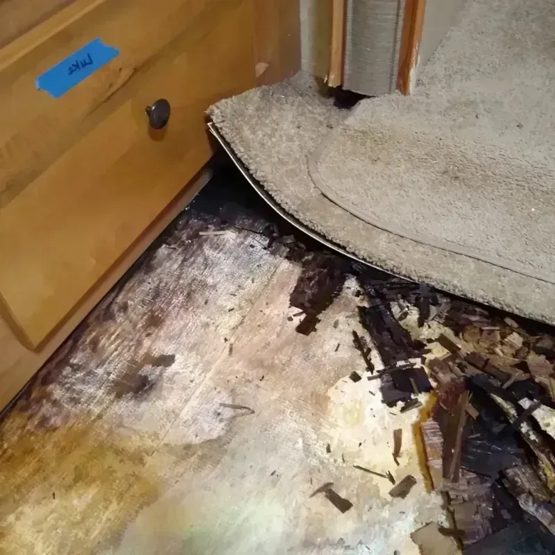 Wood Floor Water Damage in Millville, NJ